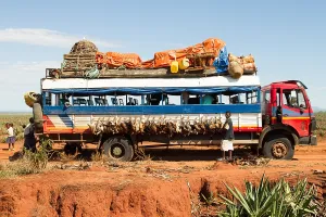 Hühner auf dem Bus in Madagaskar.