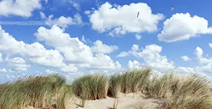 Blue Sky Over Dunes Drucke: Clouds over Dutch dunes