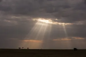 African Wilderness Photography Drucke: A cloudy sky over the savannah