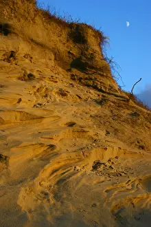 Bilder vom 6. Dezember 2008: Coepelduynen