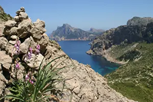 Mallorca Landscape Photography Drucke: Cuber Valley Mallorca