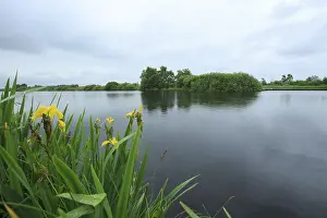 Bilder Datiert 5. Juni 2014: De Deelen