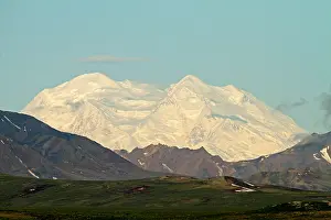 Denali National Park Images Drucke: Denali NP