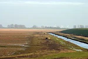 Dollard