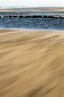 Beach Landscape Drucke: Drifting sand