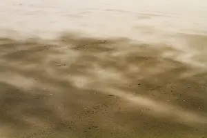 Stormy Beach Scene Drucke: Drifting sand