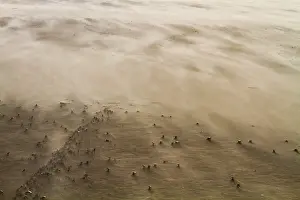 Winter Coastal Scenery Drucke: Drifting sand