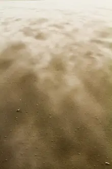 North Sea Beaches Drucke: Drifting sand