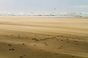 Stormy Beach Scene Drucke: Drifting sand