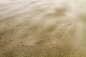 Stormy Beach Scene Drucke: Drifting sand