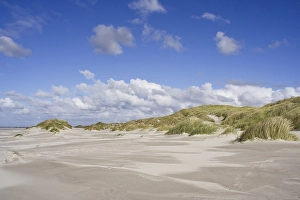 Dutch Coastline Scenery Drucke: Duinen, Dunes
