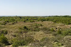 Dutch Coastline Scenery Drucke: Duinen, Dunes