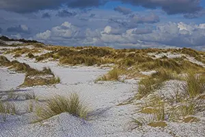 Dutch Winter Landscapes Drucke: Duinen, Dunes