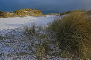 Dutch Winter Landscapes Drucke: Duinen, Dunes
