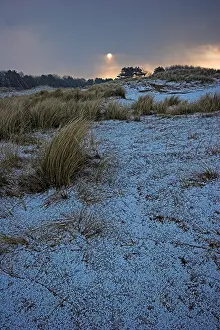 Dutch Winter Landscapes Drucke: Duinen, Dunes