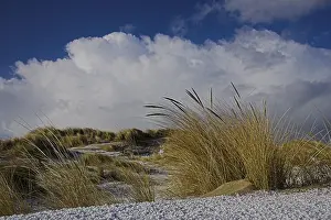 Dutch Winter Landscapes Drucke: Duinen, Dunes