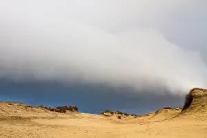 Dutch Winter Landscapes Drucke: Dunes, Coepelduyn