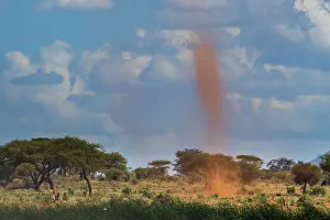 Outdoor Nature Scenes Drucke: A dust tornado, also known as dust devil