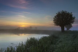 Natural Environment Images Europe Drucke: Dutch landscape
