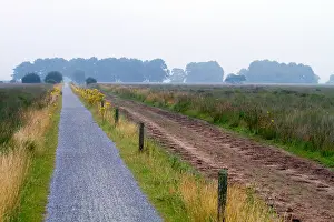 Dwingelooerveld, Niederlande