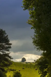Europe Countryside Drucke: Eifel Duitsland, Eifel Germany