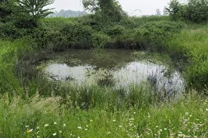 Bilder Datiert 2. Juni 2008: ein in die Tür