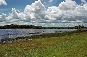 Florida Nature Photography Drucke: Everglades Florida