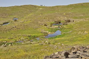 Spanish Countryside Images Drucke: Extremadura