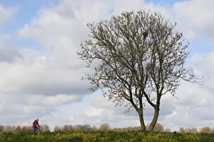 Radfahrer; Motorradfahrer