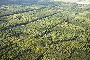 Netherlands Aerial Photography Drucke: Flevopolder