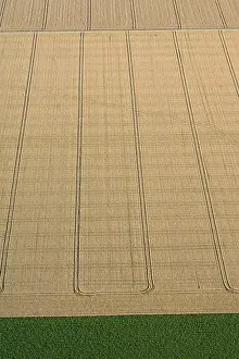 Farmland Aerial View Drucke: Flevopolder