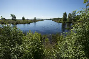 Netherlands Nature Reserve Drucke: Fochteloërveen