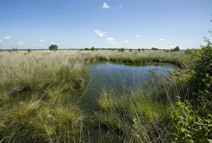 Bilder vom 6. Juni 2014: Fochteloërveen