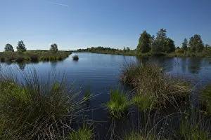 Bilder vom 6. Juni 2014: Fochteloërveen