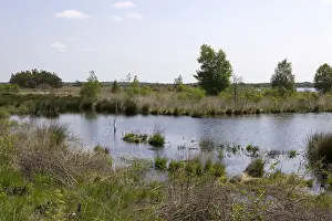 Bilder Datiert 8. Juni 2013: Fochteloërveen
