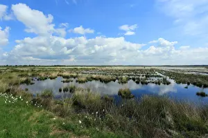 Holland Landscape Photography Drucke: Fochteloërveen
