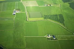 Rural Netherlands Landscape Drucke: Friesland
