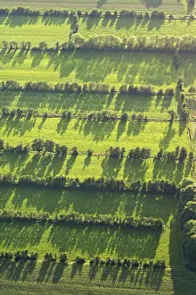 Rural Netherlands Landscape Drucke: Friesland