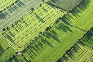 Rural Netherlands Landscape Drucke: Friesland