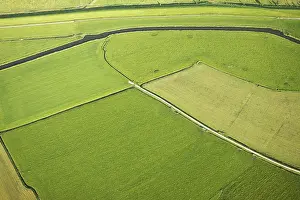 Rural Netherlands Landscape Drucke: Friesland