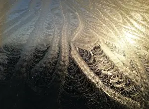 Frozen Winter Scene Drucke: Frost on window