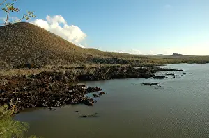 Galapagos Islands Drucke: Galapagos