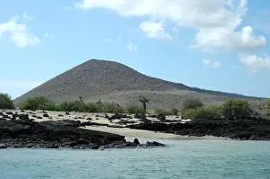 Galapagos Islands Drucke: Galapagos