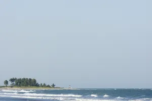 West African Landscape Drucke: Gambia