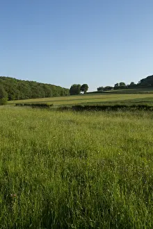 Gerendal