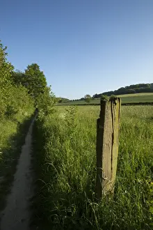 Gerendal