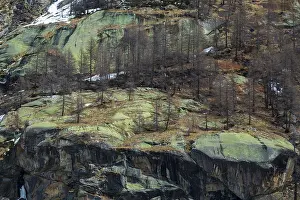 Bildlandschaft Gran Paradiso. Aosta