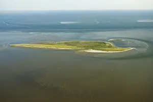 Wadden Sea Nature Reserve Drucke: Griend