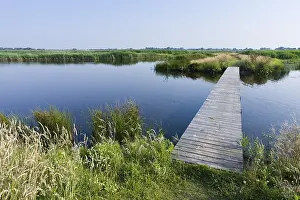 Europe Lake Views Drucke: Groene Jonker
