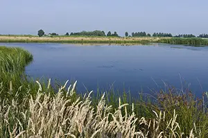 Groene Jonker